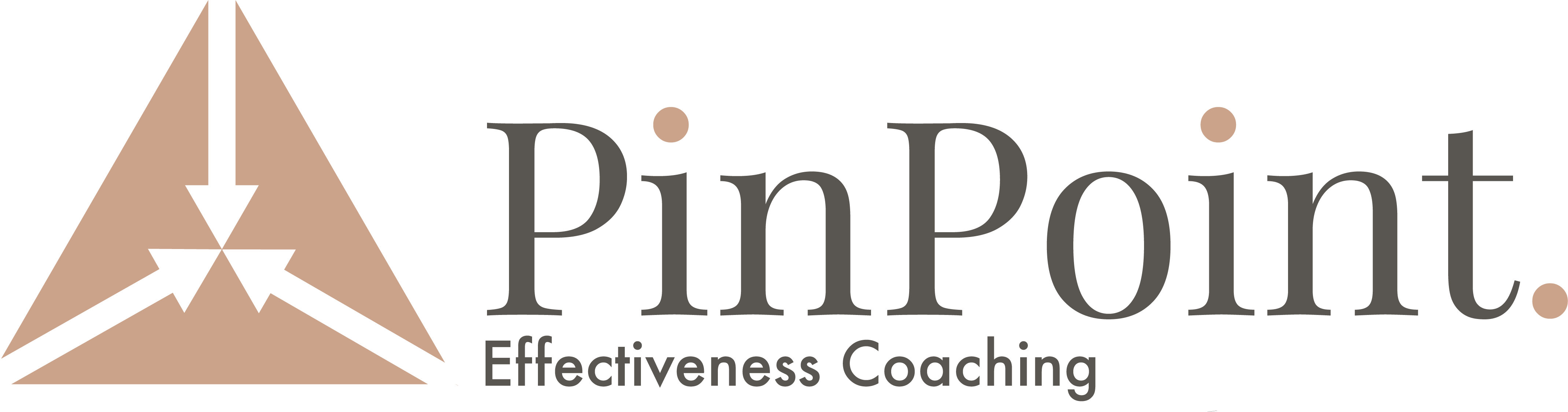 PinPoint Logo